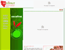 Tablet Screenshot of excofrut.com